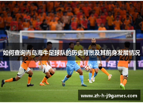 如何查询青岛海牛足球队的历史背景及其前身发展情况