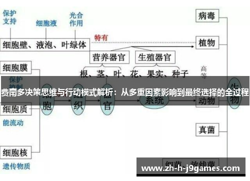 费南多决策思维与行动模式解析：从多重因素影响到最终选择的全过程
