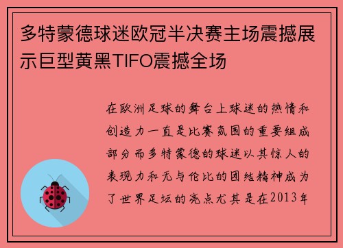 多特蒙德球迷欧冠半决赛主场震撼展示巨型黄黑TIFO震撼全场