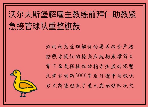 沃尔夫斯堡解雇主教练前拜仁助教紧急接管球队重整旗鼓 沃尔夫斯堡解雇主教练前拜仁助教紧急接管球队重整旗鼓